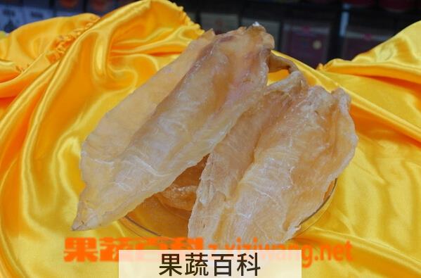 果蔬百科鱼胶是什么