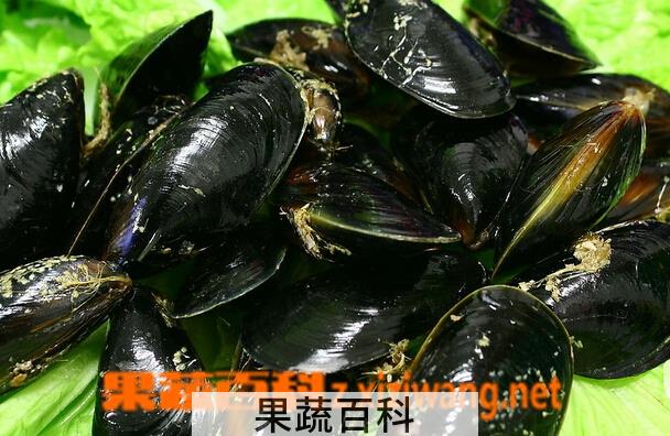 果蔬百科淡菜怎么洗才干净