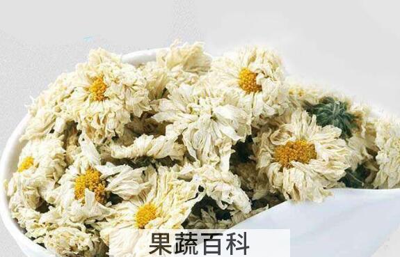 贡菊花和胎菊花的区别