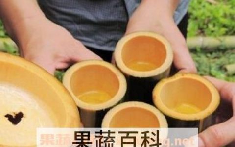 竹筒酒的功效及作用 竹筒酒的药用价值和美容功效