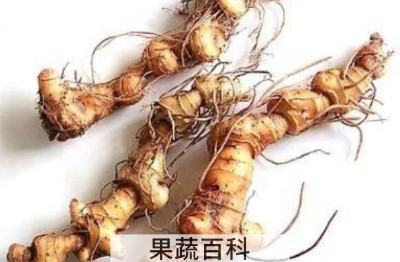 野生姜的功效与作用
