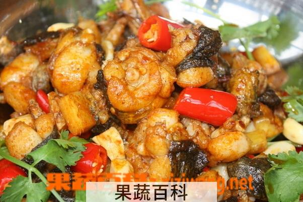 果蔬百科牛蛙的功效与作用