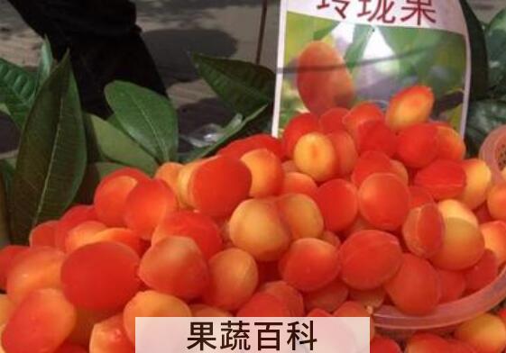 玲珑果的功效与作用