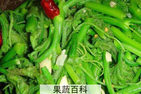 南瓜须菜的功效与作用