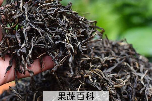 古树茶与乔木茶的区别 喝古树茶的好处