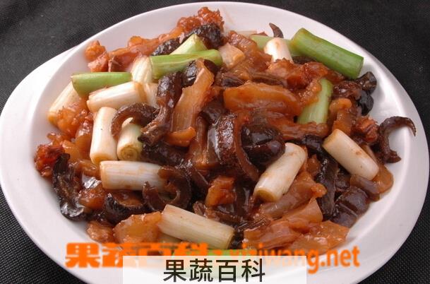 果蔬百科海参怎么做好吃