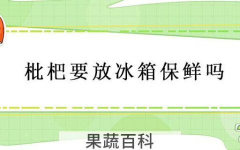 枇杷要放冰箱保鲜吗