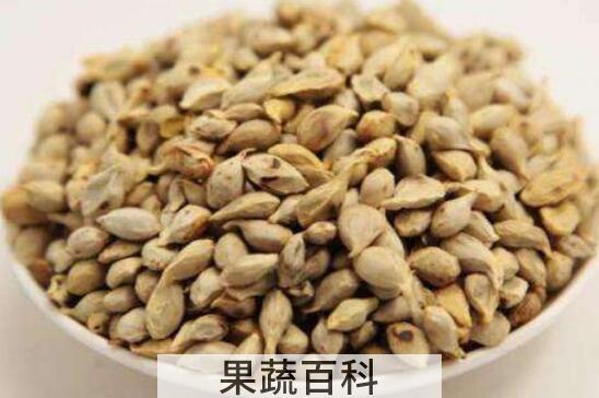 橘核的功效与作用及禁忌