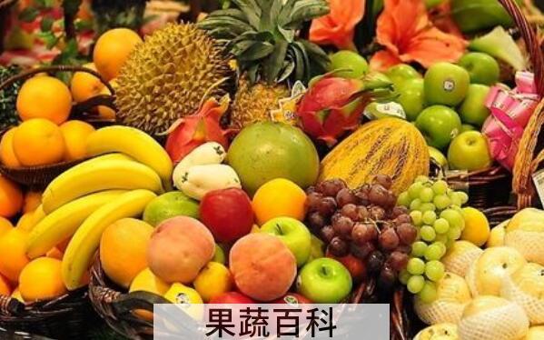 孕妇不能吃哪些食物 哪些食物孕妇不能吃
