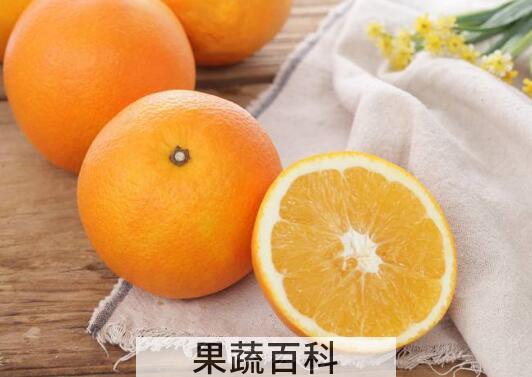 橙子的功效与作用及禁忌