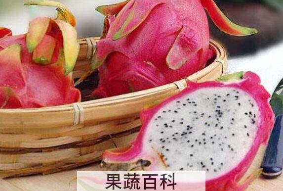 白肉火龙果的功效与作用 吃白肉火龙果的好处