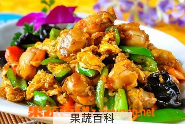 果蔬百科扇贝肉怎么做好吃