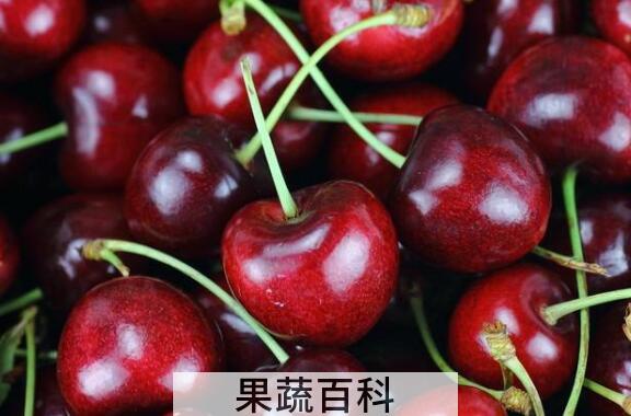 车厘子的功效与作用 吃车厘子的好处