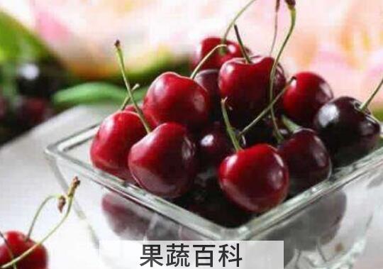 车厘子的功效与作用 吃车厘子的好处