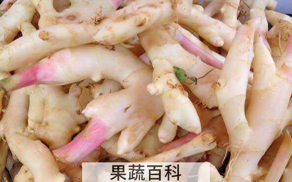 竹根姜的做法与吃法