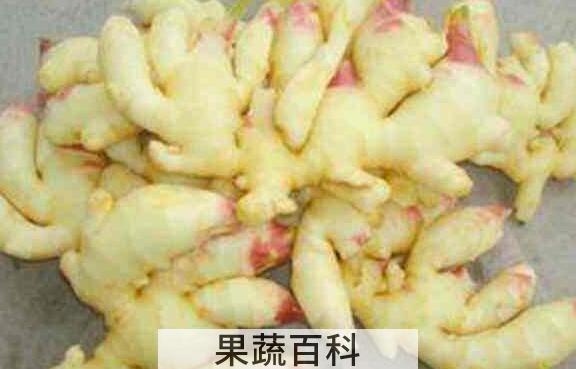 竹根姜的做法与吃法