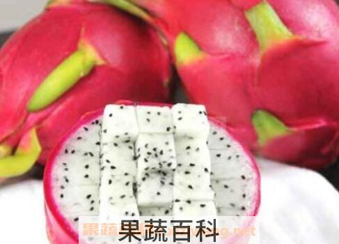 白心火龙果的功效与作用