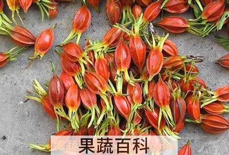 栀子花茶的功效与作用