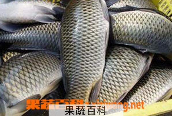 果蔬百科草鱼的功效与作用