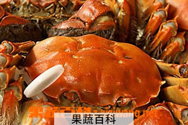 果蔬百科螃蟹怎么吃才不会太寒