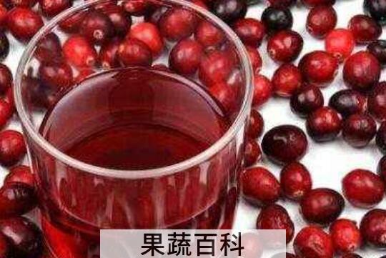 蔓越莓果汁的功效与作用