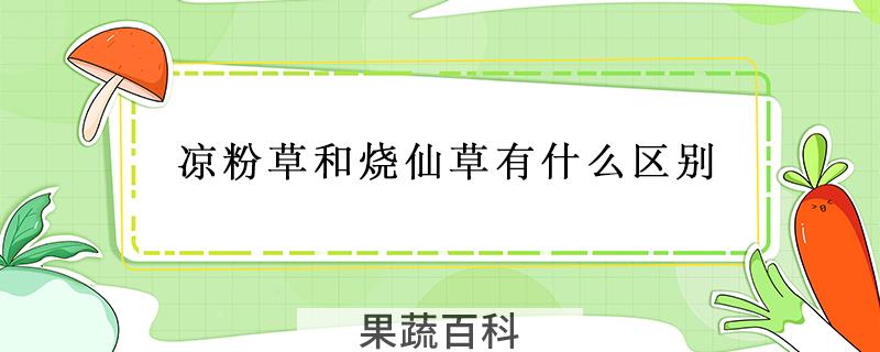 凉粉草和烧仙草有什么区别