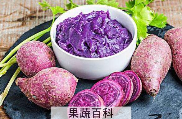 紫薯怎么吃好吃 紫薯的家常做法大全