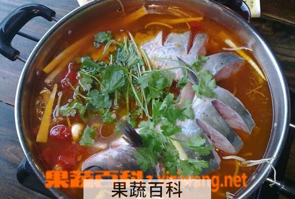 果蔬百科乌江鱼