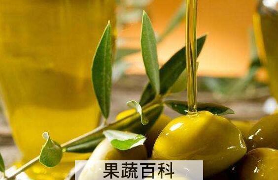 怎样吃橄榄油　橄榄油的正确食用方法