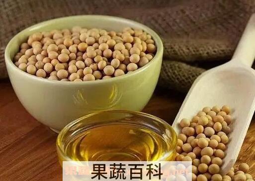 豆油的营养价值与功效