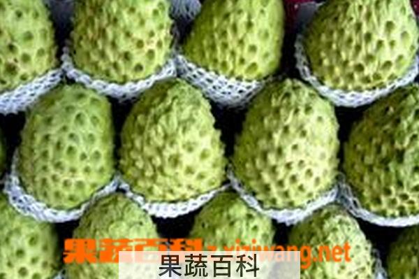 果蔬百科释迦