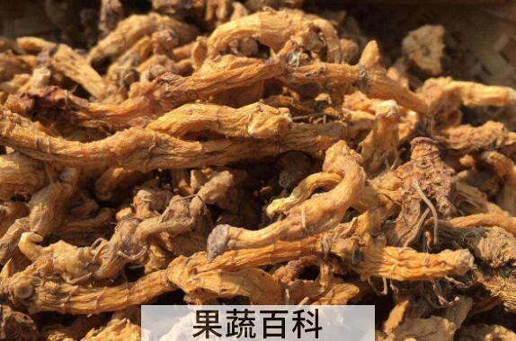 乌野山姜的功效与作用