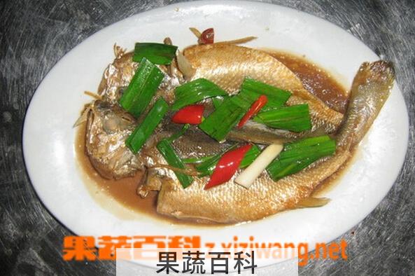 果蔬百科梭子鱼怎么做