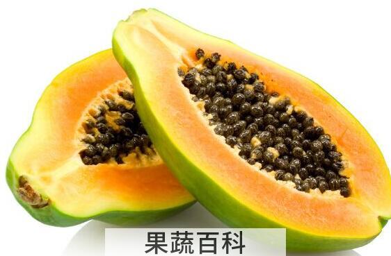 番木瓜的功效与作用 吃番木瓜的好处
