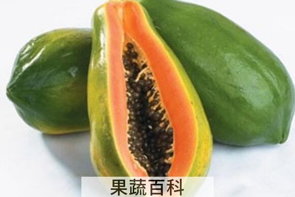 番木瓜的功效与作用 吃番木瓜的好处