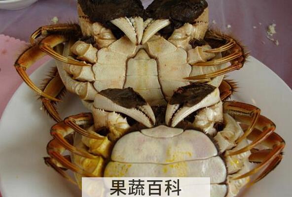 果蔬百科螃蟹公母怎么分