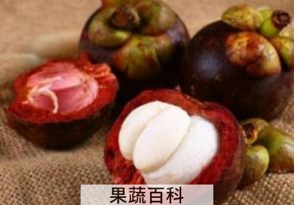 山竹壳怎么处理 山竹壳泡水喝的功效
