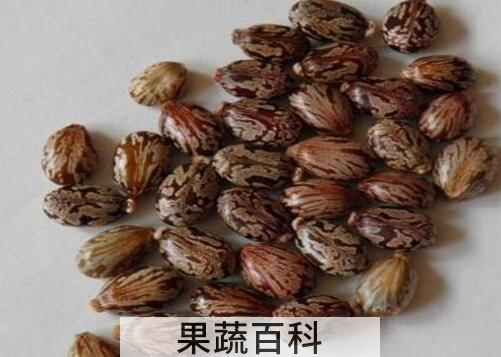 果蔬百科长鸡眼怎么办