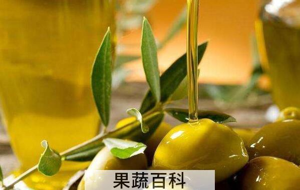 橄榄油怎么吃 吃橄榄油的好处