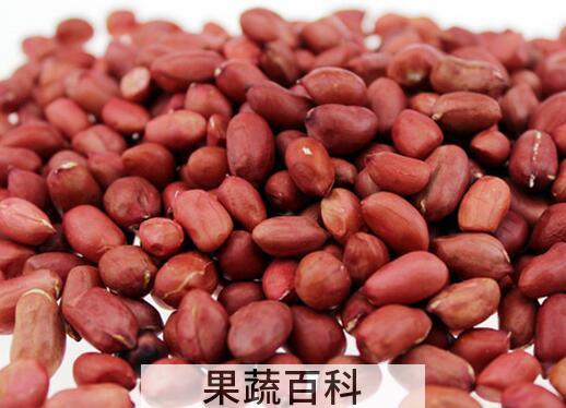 果蔬百科流鼻血吃什么好