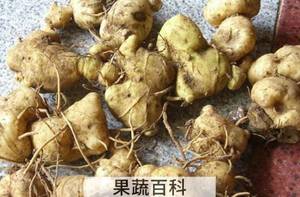 野山姜和黄精区别 黄精的功效与作用