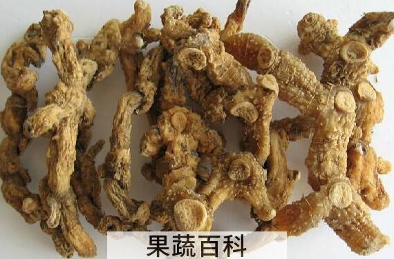 野山姜和黄精区别 黄精的功效与作用