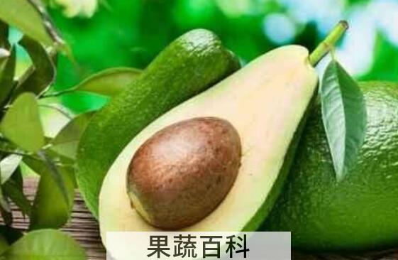牛油果中间的核怎么吃 牛油果核能吃吗
