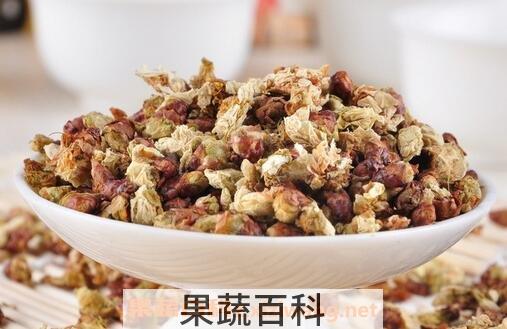 白梅花的功效与作用