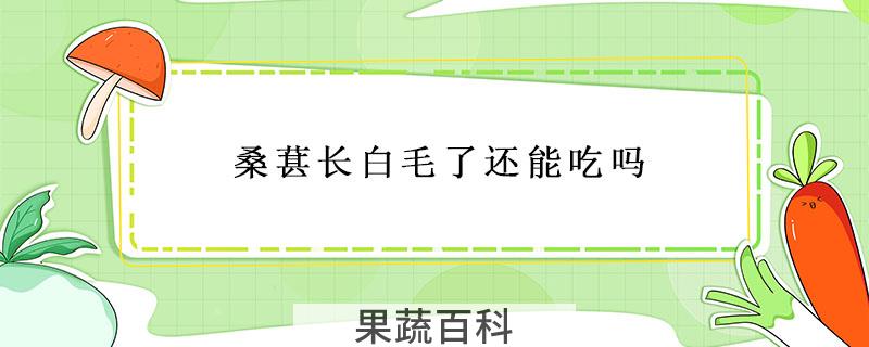 桑葚长白毛了还能吃吗
