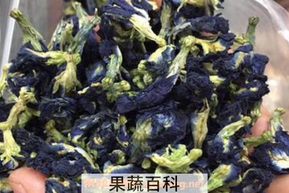 蓝蝴蝶花茶的泡法 蓝蝴蝶花茶的搭配方法