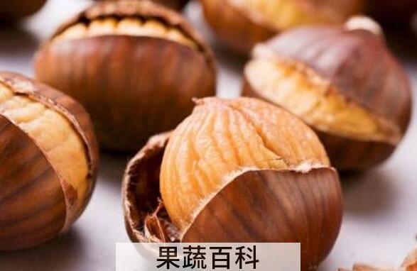 板栗内膜的药用价值与功效作用