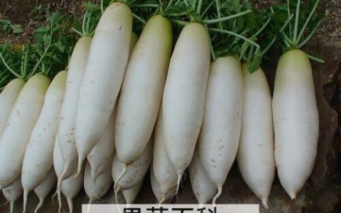 手冻伤了怎么办 冻伤的常见处理方法