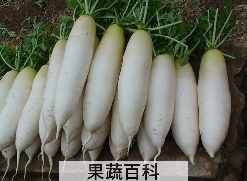 果蔬百科手冻伤了怎么办
