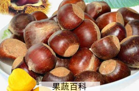 吃熟栗子的功效和作用